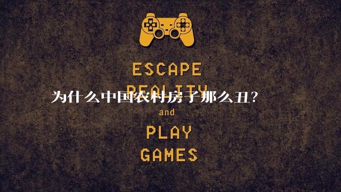 为什么中国农村房子那么丑？